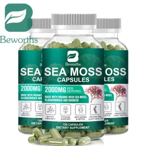 Organic Sea Moss Pill for Intestinal Health & Immune Support